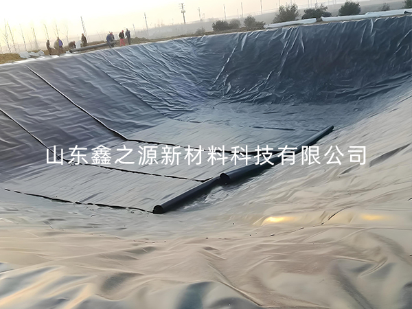 選擇防滲土工膜進(jìn)行小龍蝦養(yǎng)殖有哪些要點(diǎn)技巧？