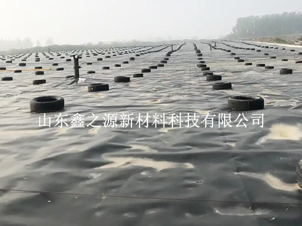 蓄水池防滲膜裁剪別亂剪，這些技巧更省心