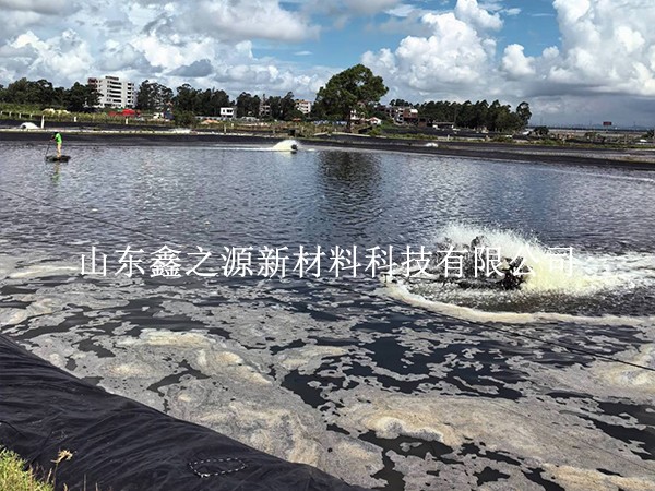 防滲膜為何頻頻漏水？深扒水產(chǎn)養(yǎng)殖滲漏背后的真實(shí)誘因