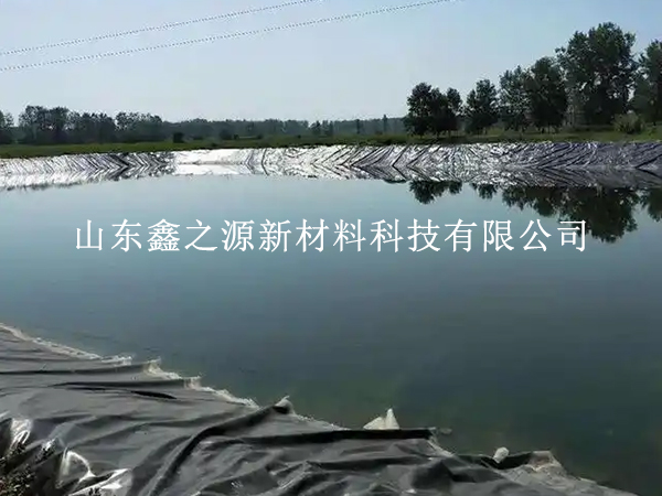 提質(zhì)增效雙管齊下：水產(chǎn)養(yǎng)殖防滲膜鋪設(shè)的高效實(shí)操指南